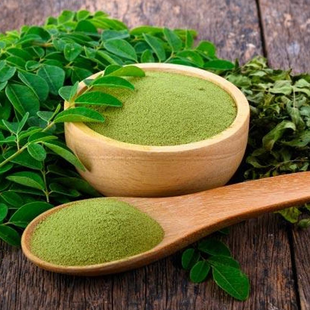 Moringa Oleifera
