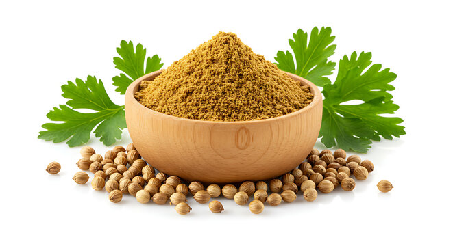 Dhaniya Powder