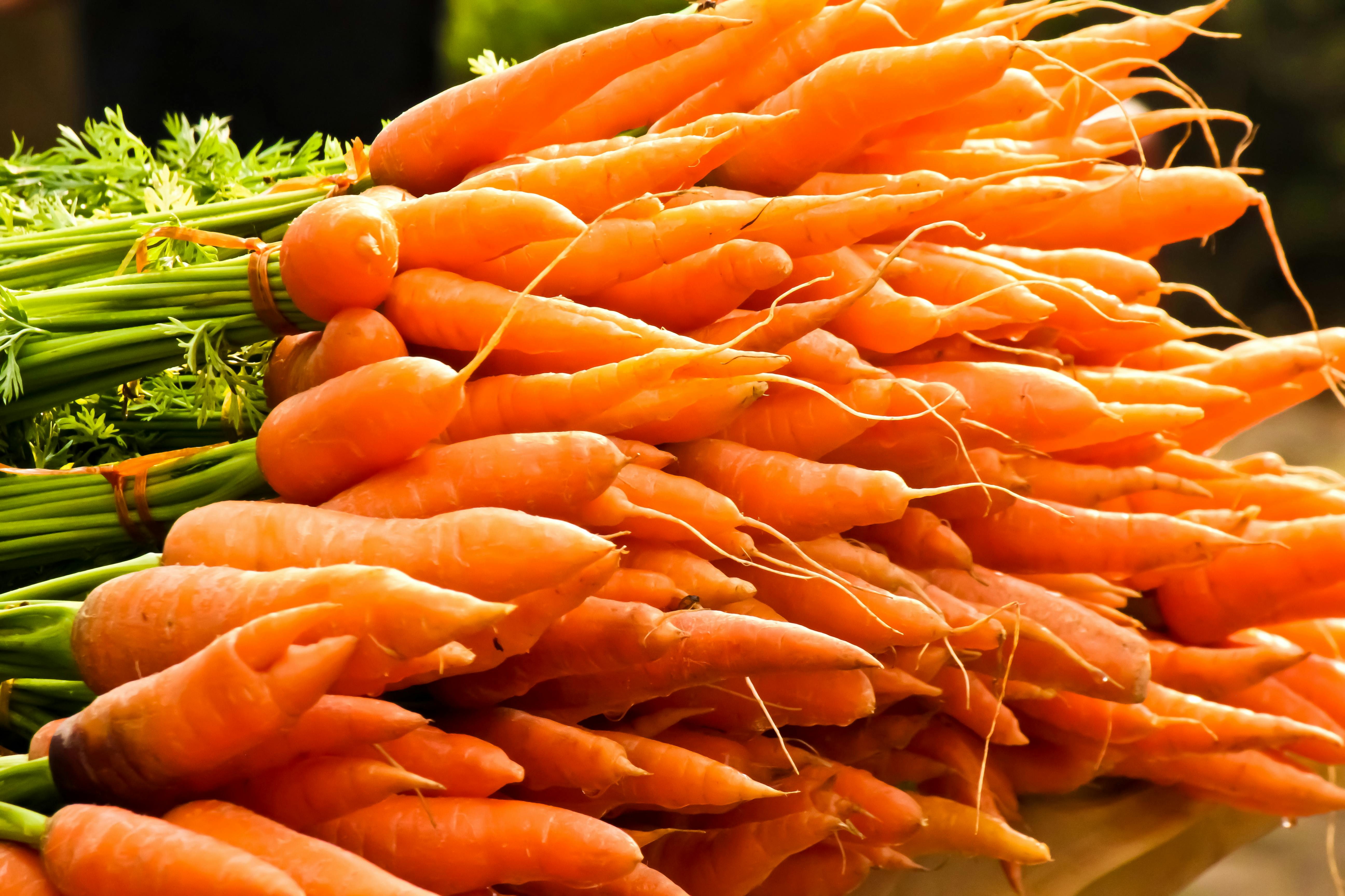 Fresh Carrots