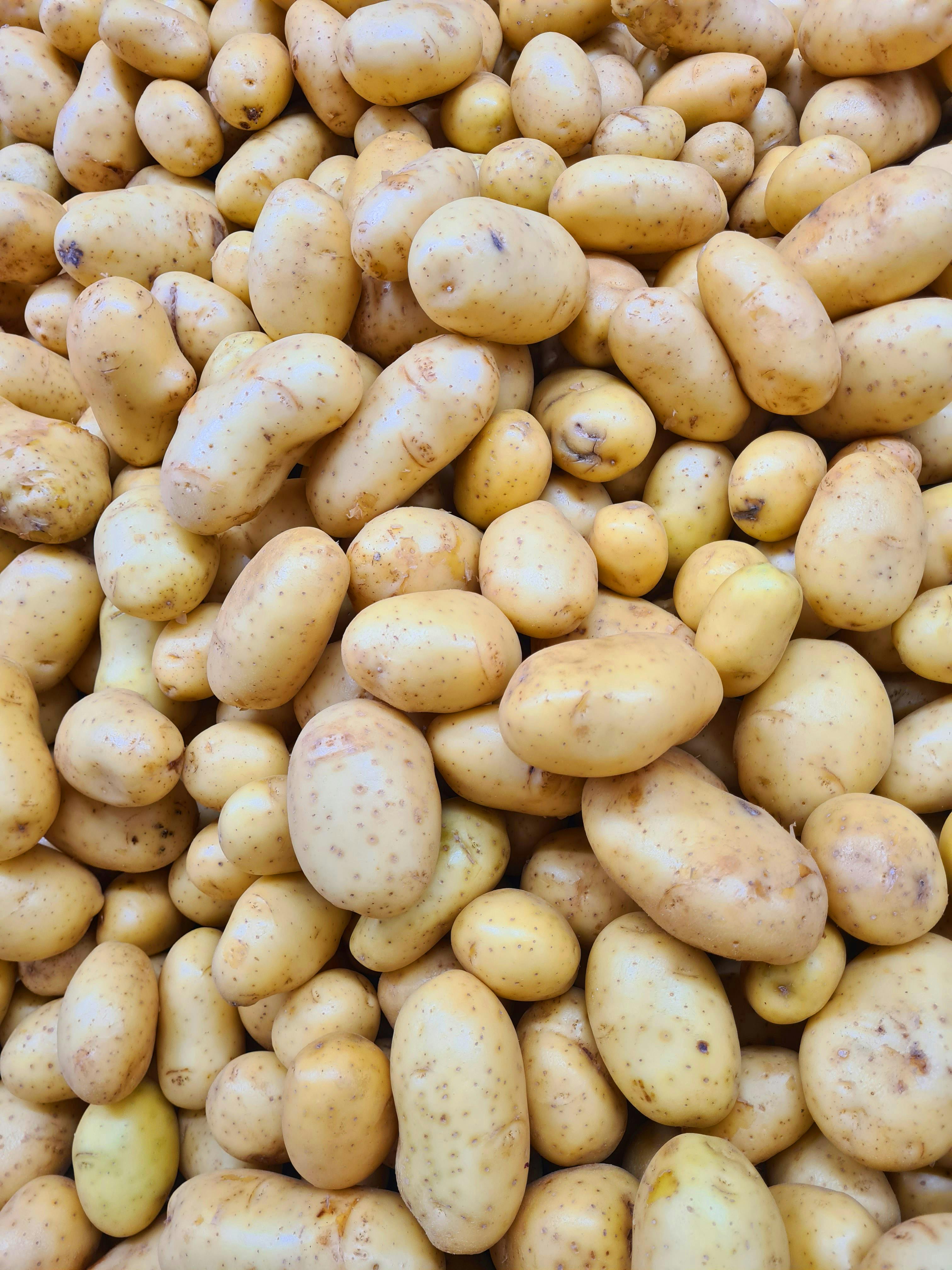 Fresh Potato