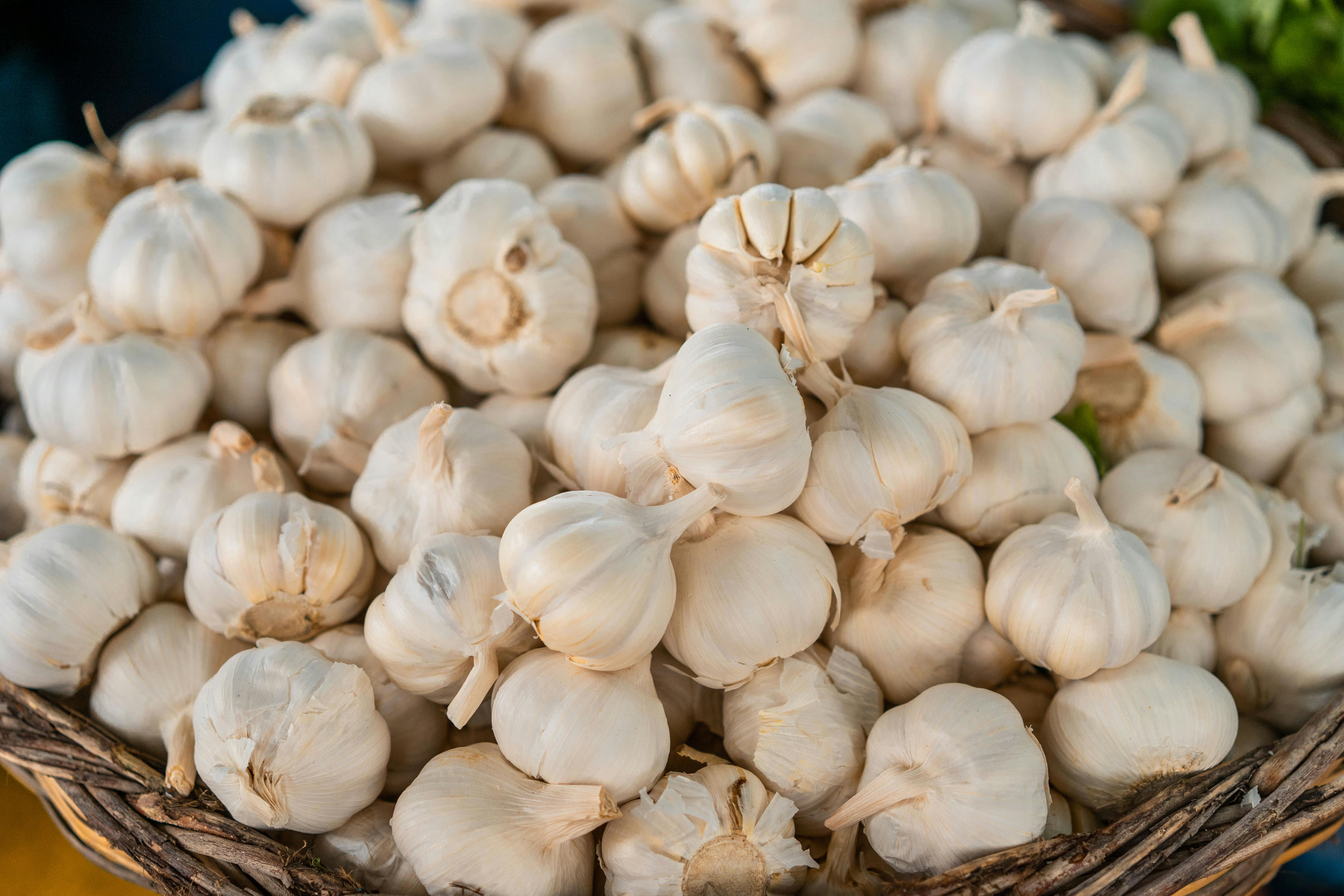 Organic Garlic