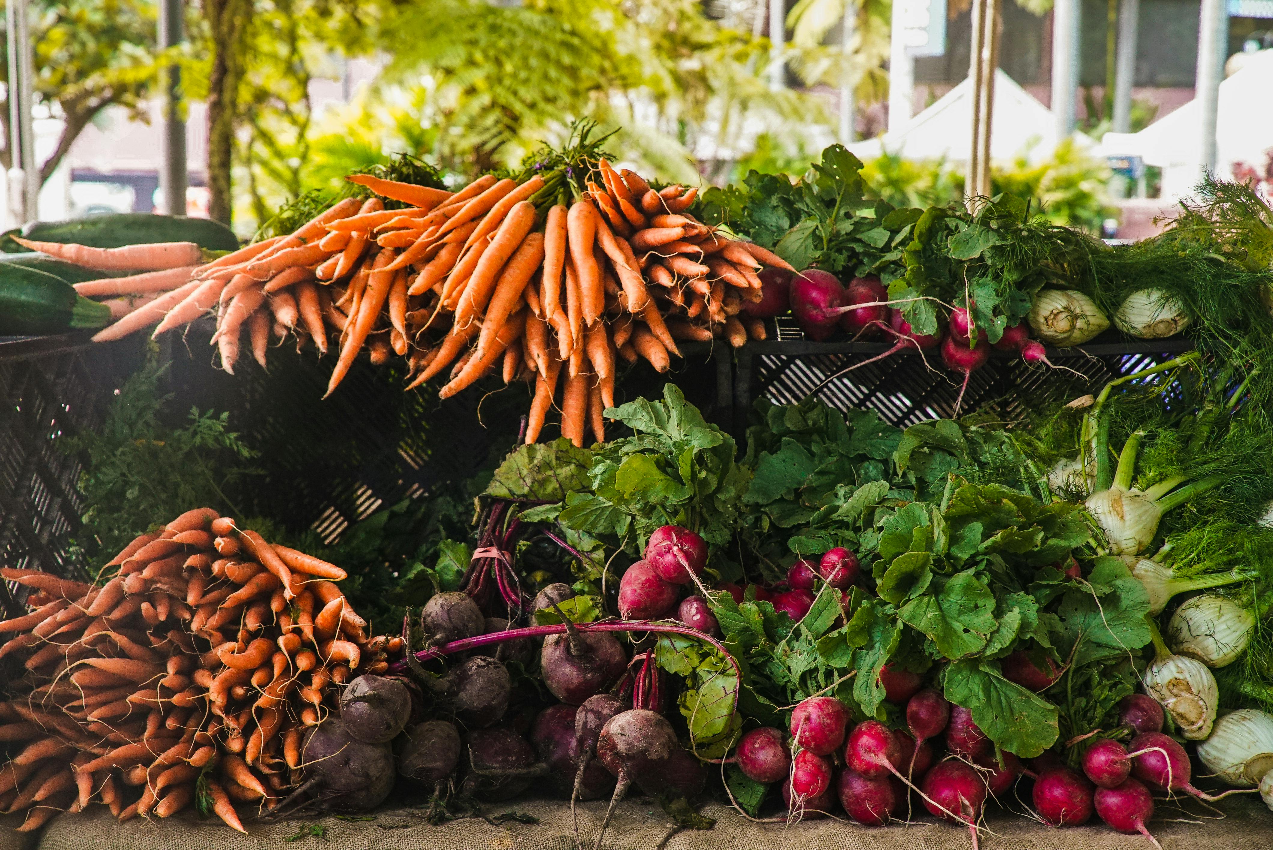 Fresh Vegetables Export