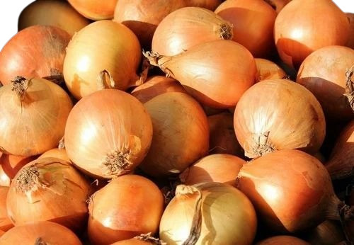 Yellow Onion