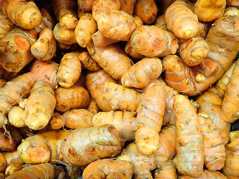 Yellow Ginger